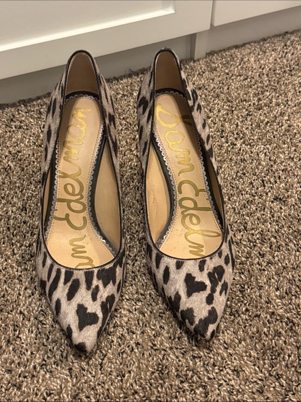 Sam Edelman Leopard-Print Pointed Toe Pumps - Taupe & Black